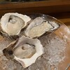 Oyster Lab