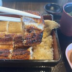 鰻之姫川 - 肉厚な蒲焼