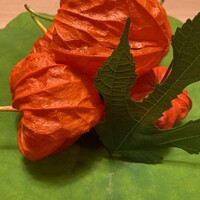 和食うおまん 東京本店 - 