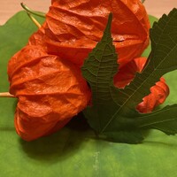 和食うおまん 東京本店 - 