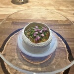 ヴァカンツァ - 