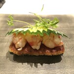 カンテサンス - 