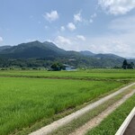 FARM FRONT - 目の前の田んぼ