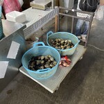 マルヨシ水産 はまぐり屋 - 