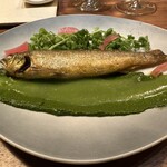 トムクリオーザ - 