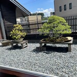 日本茶きみくら - 