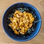 柿崎商店 海鮮工房 - 余市産　赤塩水丼