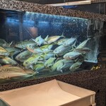 産直さばと青魚 伏見あおい - 