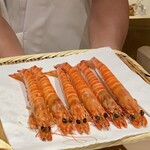 千葉たかおか - 竹岡 天然車海老
      茹でたて熱々を、お弟子さんの阿部さんが事もなげに剥かれます！
      いつもながら、このサイズを揃えられる高岡さんは凄いのです。
      それも漁師さん達との信頼関係が有ればこそなのでしょう。