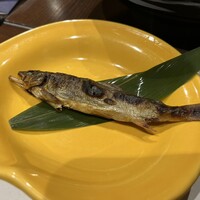 柳家錦 - 