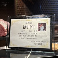 HIKARI - 