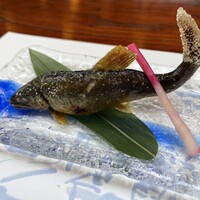ひろ文 -  ひろ文 -
