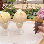 八珍果プラス - 