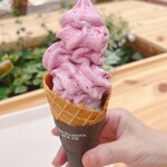 八珍果プラス - 