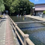 Unagi Washokudokoro Suminobou - 三島市は水の郷百選にも選ばれた水の都で、水がすごーく　キレイでした♪楽しそう❤︎