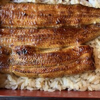 鰻割烹 伊豆栄 本店 - 