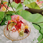 五味五感 時乃間 - 