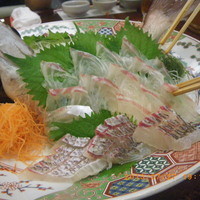 稚加榮 本店 - お造り（鯛）