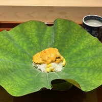 蓮 三四七 - 