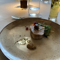 Wattle Tokyo -  Wattle Tokyo -