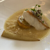 Wattle Tokyo -  Wattle Tokyo -