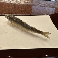 京都祇園 天ぷら八坂圓堂 - 