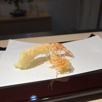 天冨良 銀座 よこ田 梅田別邸 - 車海老