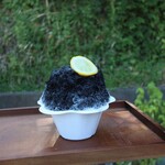 さじこよみ - 竹炭レモン