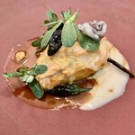 レヴォ - 赤烏賊