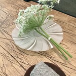 レヴォ - ゆうかメロンの仕上げ用