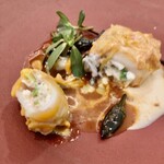 レヴォ - 赤烏賊