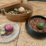 レヴォ - prologue