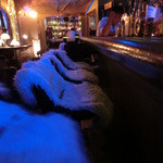 NEO SHOT BAR　深海の洞窟 - 落ち着いた雰囲気とカウンター席