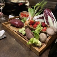 オッジ ダルマット 西麻布店 - 