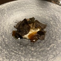 オッジ ダルマット 西麻布店 - 