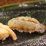 にぎり鮨 一五〇 - 天使のエビ