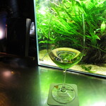 AquaBar Linden - 白！