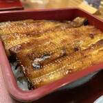 うなぎ 仲じま - うな重特上