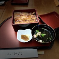 うなぎ 仲じま - うな重特上