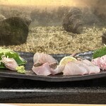 Isami Zushi Hokusai - 