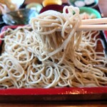 Wa Kyou An - まずは蕎麦のみで食べてみると
                        蕎麦の美味しい味わいが強くはないけれど
                        味わいと甘み感がほんのりと口の中に広がる
                        
                        つけ汁は味醂と砂糖の甘みがシッカリとしているタイプ
                        出汁も効いてて美味しい味わい