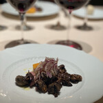 フォリオリーナ・デッラ・ポルタ・フォルトゥーナ - 