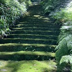 Nagon Shiruko Ten - 妙法寺 苔の階段