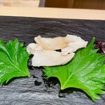 菊水鮓 - 白とり貝