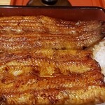 Unagi Futaba - 