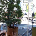 Rokushitan Kafe Shibuya Toukyou - 