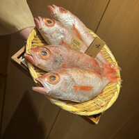 のど黒屋 新橋店 - 