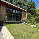 タルタニアン - 