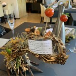 プレゼンテ スギ - 