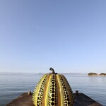 テラスレストラン - 